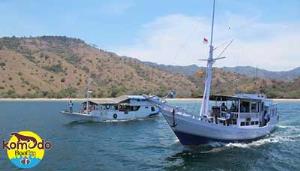 History of Florest Island And Komodo National Park